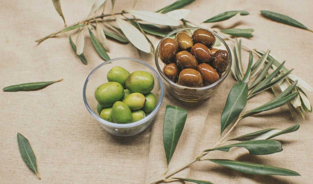 Trips - Sustainability